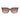 Guess Brown Resin Sunglasses
