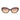 Guess Brown Resin Sunglasses