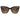 Marc Jacobs Brown Acetate Sunglasses