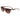 Lacoste Brown Injected Sunglasses
