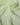 Dolce & Gabbana Light Green Silk Neck Wrap Stole 200cm x 134cm Scarf