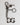 Dolce & Gabbana Silver Brass Metal DG Logo Crystal Ring Keyring Keychain