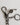 Dolce & Gabbana Silver Brass Metal DG Logo Crystal Ring Keyring Keychain