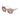 Police Multicolor Acetate Sunglasses
