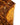 Dolce & Gabbana Orange Sequin Nylon High Waist Girdle Underwear