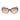 Guess Brown Acetate Sunglasses