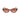 Lacoste Brown Injected Sunglasses