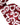 Dolce & Gabbana Red Logo Monogram Cotton Soft Cup Bra Underwear
