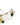 Dolce & Gabbana Multicolor Floral Print Soft Cup Bra Underwear