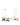 Dolce & Gabbana Multicolor Floral Semi-Pad Underwire Underwear