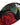 Dolce & Gabbana Black Floral Padded Halter Bikini Top Swimwear