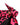 Dolce & Gabbana Pink Leopard Print Bikini Bottom Beachwear Swimwear