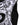 Dolce & Gabbana Black White Graphic Logo High Brief Underwear