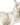 Dolce & Gabbana Off White Semi-Pad Underwire Balconette Bra Underwear
