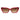 Guess Multicolor Plastic Sunglasses