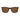 Carrera Brown Plastic Glasses (Frames)