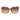Marciano by Guess Multicolor Plastic Sunglasses