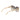 Marciano by Guess Multicolor Plastic Sunglasses