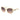 Marciano by Guess Beige Plastic Sunglasses