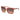 Marciano by Guess Multicolor Plastic Sunglasses
