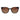 Guess Brown Plastic Sunglasses