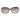 Guess Black Plastic Sunglasses