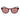 Gant Purple Plastic Sunglasses