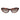 Guess Brown Plastic Sunglasses