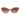Guess Brown Plastic Sunglasses