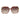 Guess Multicolor Plastic Sunglasses