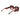 Ted Baker Brown Acetate Sunglasses