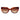 Ted Baker Brown Acetate Sunglasses