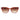 Ted Baker Brown Acetate Sunglasses