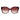 Ted Baker Purple Acetate Sunglasses
