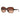 Armani Exchange Brown Acetate Sunglasses