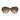Armani Exchange Brown Acetate Sunglasses
