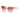 Armani Exchange Multicolor Injected Sunglasses