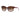 Armani Exchange Multicolor Injected Sunglasses