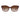 Armani Exchange Multicolor Injected Sunglasses