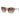 Armani Exchange Brown Injected Sunglasses