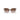 Armani Exchange Brown Injected Sunglasses