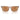 Armani Exchange Brown Injected Sunglasses