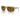 Armani Exchange Beige Injected Sunglasses