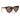 Armani Exchange Brown Injected Sunglasses