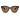 Armani Exchange Brown Injected Sunglasses