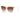 Armani Exchange Beige Injected Sunglasses