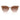 Armani Exchange Beige Injected Sunglasses