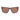 Armani Exchange Brown Injected Sunglasses