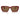 Emporio Armani Multicolor Acetate Sunglasses
