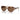 Emporio Armani Brown Acetate Sunglasses